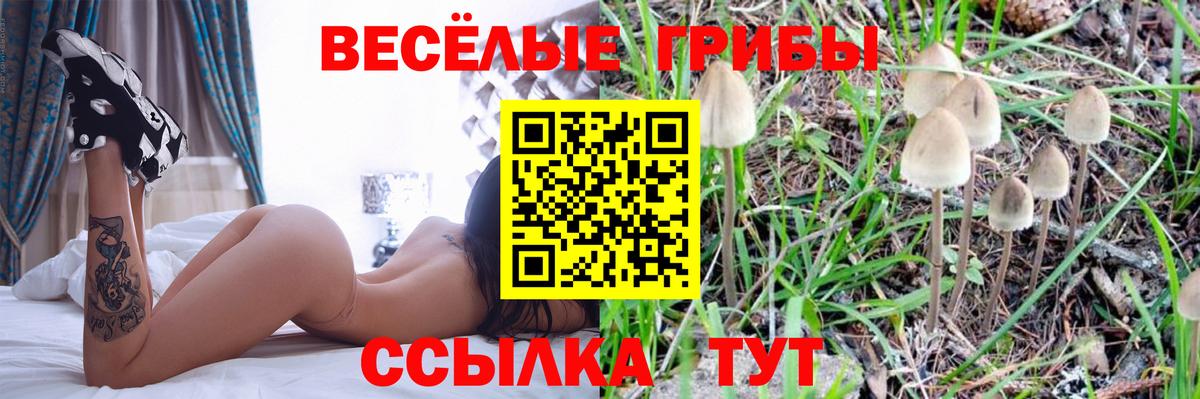 Галлюциногенные грибы GOLDEN TEACHER  Псилоцибиновые грибы ЛСД  Санкт-Петербург  Вход с VPN 