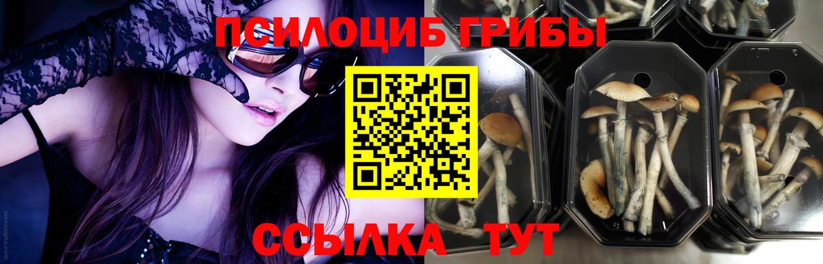 МАРИХУАНА  Гашиш  Санкт-Петербург  Меф МЯУ МЯУ   Вход с VPN  Кокаин 